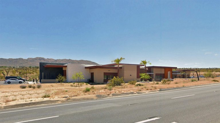 CRTJoshuaTreeStreetView scaled 768x432