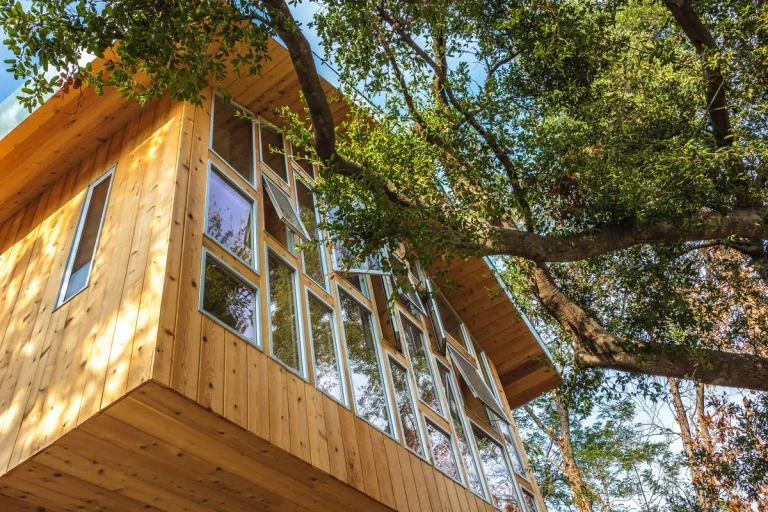 1004 P Exterior 07 1200 800 1200 800 768x512