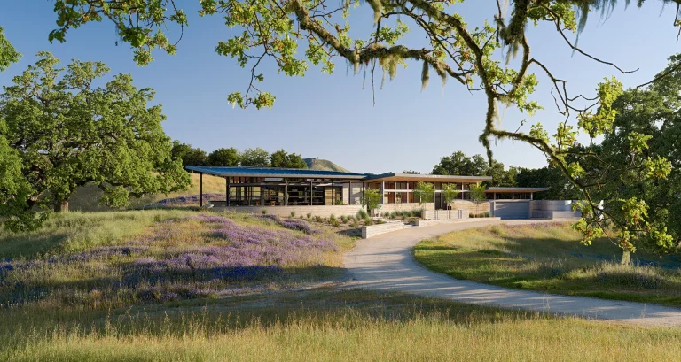 Caterpillar House 768x409